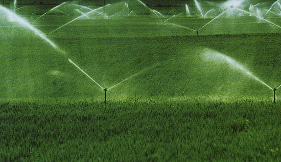 调亏灌溉技术