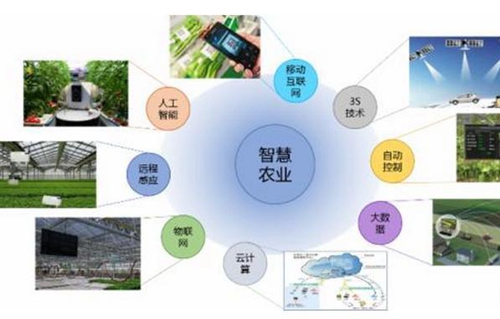 智慧农业
3S技术
自动控制
大数据
云计算
物联网
远程感应
人工智能
