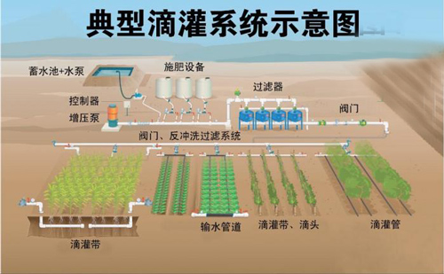 大田玉米滴灌安装图解图片