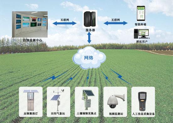 发展智慧农业应该重视的问题