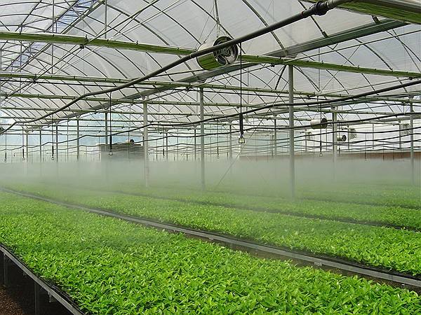 农业节水灌溉措施