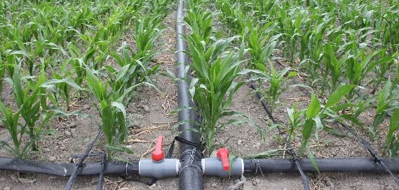 低压管道输水灌溉技术在农田的应用