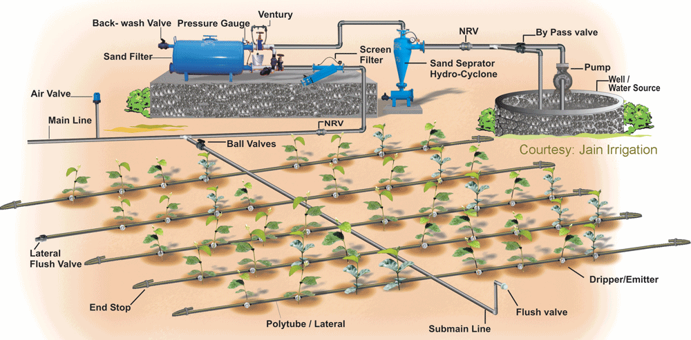 节水灌溉的方式——微灌