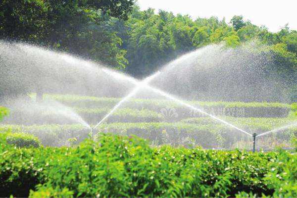 节水灌溉的主要方式