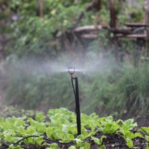 节水灌溉招标信息（2022年3月30日）
